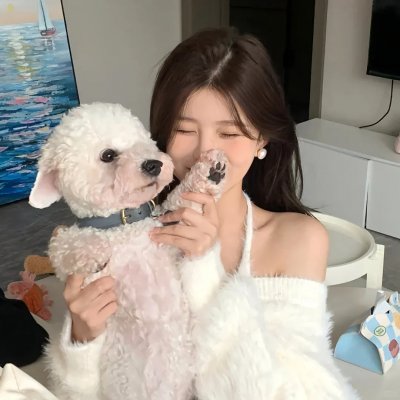 一条狗的使命2